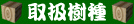 ki1.gif
